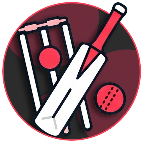 Betting on cricket matches using the DBbet app.