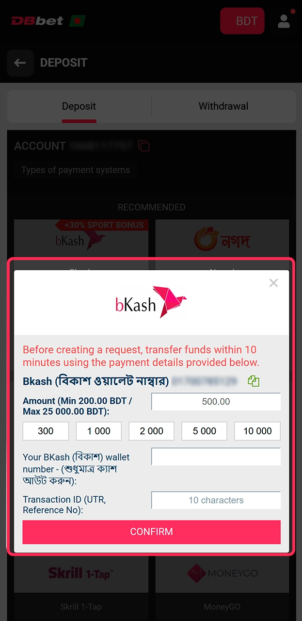 Finalizing your secure payment deposit into your DBbet balance.